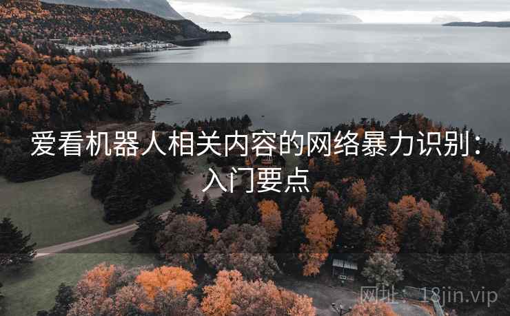 爱看机器人相关内容的网络暴力识别：入门要点