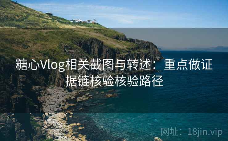 糖心Vlog相关截图与转述：重点做证据链核验核验路径