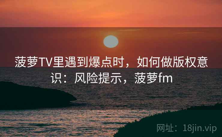 菠萝TV里遇到爆点时，如何做版权意识：风险提示，菠萝fm