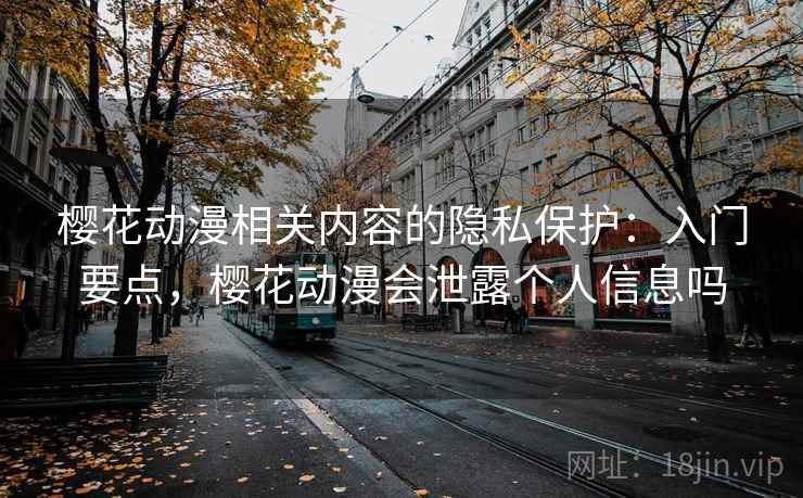 樱花动漫相关内容的隐私保护：入门要点，樱花动漫会泄露个人信息吗