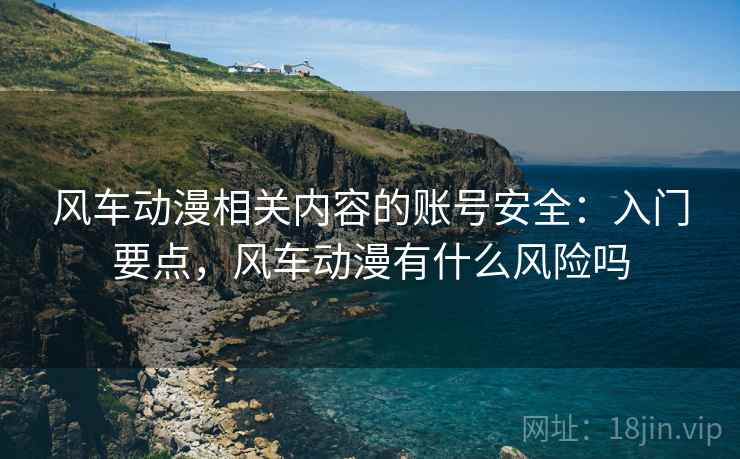 风车动漫相关内容的账号安全：入门要点，风车动漫有什么风险吗