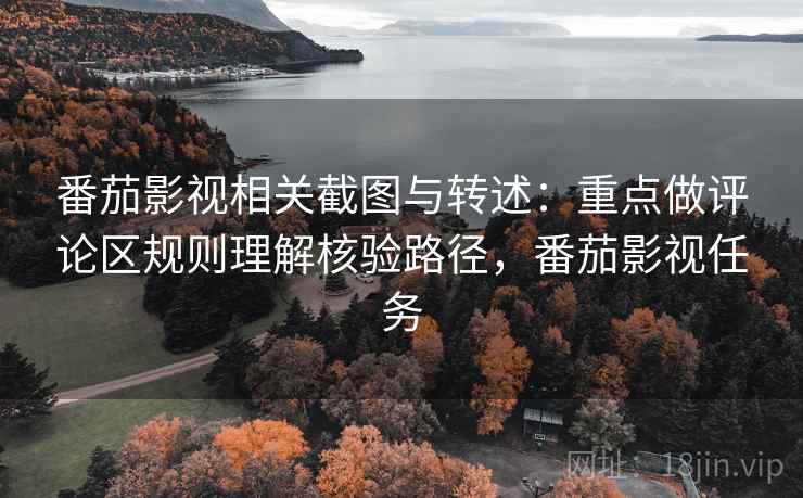 番茄影视相关截图与转述：重点做评论区规则理解核验路径，番茄影视任务
