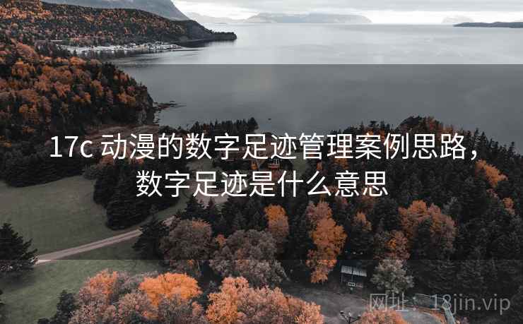 17c 动漫的数字足迹管理案例思路，数字足迹是什么意思