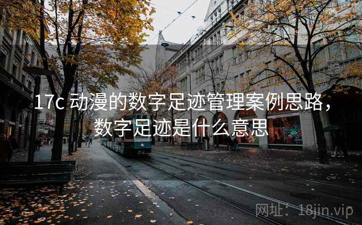 17c 动漫的数字足迹管理案例思路,数字足迹是什么意思 17c 动漫的数字足迹管理案例思路,数字足迹是什么意思