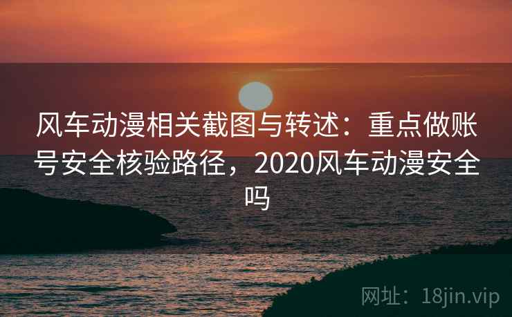 风车动漫相关截图与转述：重点做账号安全核验路径，2020风车动漫安全吗